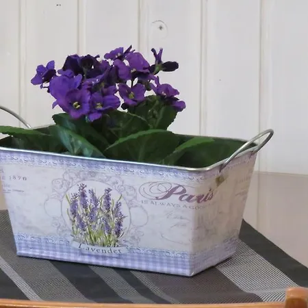 Center Neno Apartamento