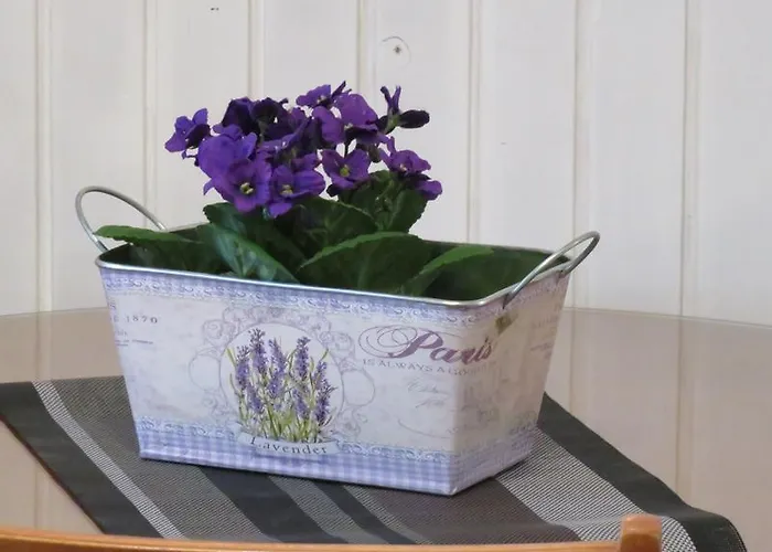 Center Neno Lejlighed